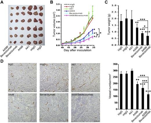 Figure 7. The combination of anti-CD146 AA98 and anti-VEGF bevacizumab has cumulative antitumor effects on human pancreatic carcinoma growth and angiogenesis in vivo. (A) Representation of human pancreatic carcinoma in xenografted mice. (B) Mean tumor volumes at specific time points after injection of human pancreatic carcinoma cells SW1990 (n = 10). (C) When tumor size reached approximately 3 cm3, mice were killed and tumors were excised and weighed. Tumor weight was evaluated and is shown in the graphs. (D) Microvascular density of tumors. Sections from human pancreatic carcinoma were stained with anti-CD31 Ab (scale bar indicates 100 μm). Statistical significance was calculated with the unpaired Student t test. *P < .05; **P < .01; ***P < .001.