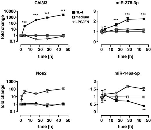 Figure 2. Kinetics of miR-378-3p induction during in vitro alternative activation. Thio-elicited, adherence-purified MΦ were incubated with rIL-4 (black squares), LPS and rIFNγ (gray triangles), or with medium alone (open squares) for the indicated time and analyzed for miRNA and mRNA expression. Statistics indicate differences between rIL-4–treated samples and media controls. **P < .01; ***P < .001. Each data point represents mean and SEM of 3 individual animals. One of 2 separate experiments shown.