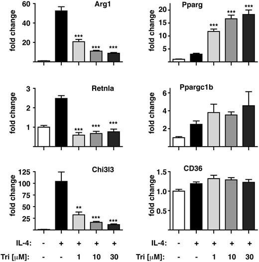 Figure 4. Akt-inhibition modulates alternative activation of MΦ in vitro. Thio-MΦ were stimulated with rIL-4 (+) or medium (−) after preincubation with the indicated concentration of triciribine for 1 hour and analyzed for expression of alternative activation markers by qRT-PCR. Data are representative of 3-4 animals per group. Error bars indicate SEM. One of 4 experiments shown. Asterisks indicate statistical differences compared with IL-4–treated samples. ***P < .001, **P < .01.
