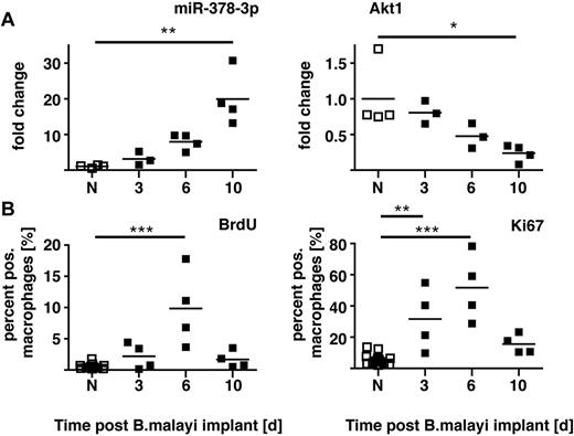 Figure 5. Time course of miR-378-3p expression and markers of proliferation after B malayi implantation. (A) Gene expression of miR-378-3p and Akt1 in peritoneal MΦ isolated from B malayi implanted C57BL/6 mice at the indicated time points after implantation. N indicates naive animals. Data points represent individual animals or separate pools of animals. (B) FACS analysis of Ki67 expression and BrdU incorporation in the MΦ analyzed in panel A. Data from the same experiment shown in supplemental Figure 4 in Jenkins et al.20 One experiment of 1 shown. ***P < .001; **P < .01; *P < .05.