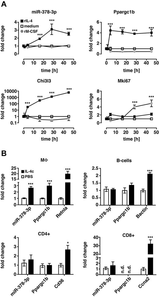 Figure 7. Induction of miR-378-3p is specific to IL-4–mediated signaling in MΦ. (A) Thio-elicited, adherence-purified MΦ were incubated with rIL-4 (black squares), rM-CSF (gray circles), or with medium alone (open squares) for the indicated time and analyzed for miRNA and mRNA expression. Statistics indicate differences between rM-CSF–treated samples and rIL-4 controls. ***P < .001. Each data point represents mean and SEM of 6 individual animals. Results from a single experiment shown. (B) CD11b+F4/80+ (MΦ), CD19+F4/80− (B cells), CD4+CD11b− lymphocytes (CD4+) and CD8+CD11b− lymphocytes (CD8+) were FACS-sorted from IL-4c injected (filled bars) or PBS-injected control animals (open bars) and subjected to qRT-PCR. Data are depicted as fold change above PBS controls. Statistics indicate differences between IL-4c–treated samples and PBS-controls. ***P < .001; *P < .05. Bars depict mean and SEM of 10 individual animals per group pooled from 2 independent experiments, except for the CD8+ data, which is from 1 representative experiment. The second experiment is not shown because Ccna2 in the PBS controls was not detectable resulting in a fold change of infinity for the IL-4c treatment.
