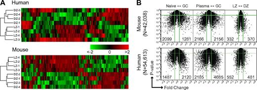 Figure 3. Gene expression in mouse and human LZ/DZ. (A) Unsupervised clustering of microarray data from LZ and DZ cells sorted from mouse lymph node or human tonsil. (B) Volcano plots showing global differences between naive and GC, plasma cell and GC, and LZ and DZ B cells in human and mouse. Microarray data for naive and total GC B cells and plasma cells data were obtained from Luckey et al35 and Long et al.36 Green lines indicate 2-fold differences (x-axis) and P = .05 (y-axis). Numbers in the plots indicate the number of probes differing by 2-fold or more (P < .05 in each of the comparisons). The total number of probes plotted for each species is indicated on the left.