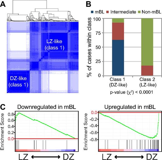 Figure 6. LZ/DZ-related pathways underlie the distinction between molecular subgroups in aggressive mature B-NHL. (A) Consensus clustering (1000 bootstraps) of the aggressive mature B-NHL case series described by Hummel et al,20 according to the expression pattern of the common human/mouse signature (1.5-fold cutoff; supplemental Figure 4; supplemental Table 4). Shown is the clustering image with k = 2 (no significant improvement of the CDF was observed with higher k values). (B) Distribution of mBL and non-mBL cases, as defined by Hummel et al,20 among the 2 different subgroups identified by the consensus clustering analysis shown in panel A. The P value shown refers to the significance of the distribution of the 3 subclasses in Hummel et al20 (mBL, intermediate, non-mBL) among each class (DZ-like or LZ-like; χ2 test). (C) GSEA plots illustrating the enrichment for mBL and non-mBL classifier gene signatures (as defined by Hummel et al20) in human LZ and DZ GC B-cell gene expression data. Nominal and adjusted P values and false discovery rate are all below the detection level (< .001) for both comparisons.