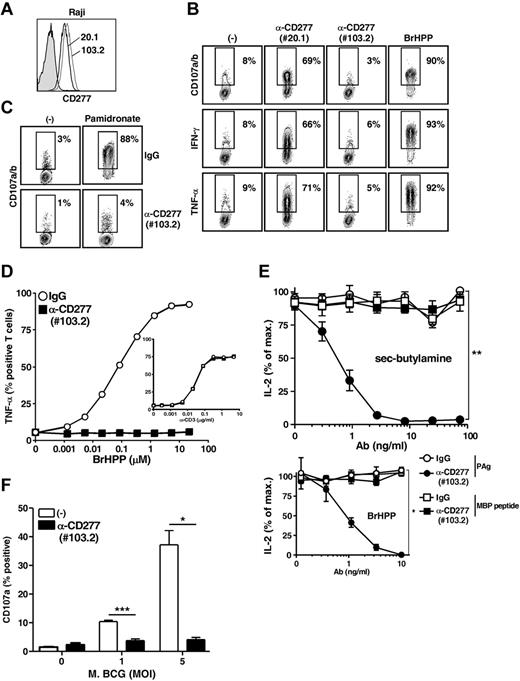 Figure 4. Abrogation of Vγ9Vδ2 T-cell responses by a blocking anti-CD277 mAb. (A) Surface stainings of Raji cells with either 20.1 and 103.2 anti-CD277 mAbs. Filled histogram represents IgG isotype control. (B) Stainings of CD107a/b (top), IFN-γ (middle), and TNF-α (bottom) of Vγ9Vδ2 T cells (clone GR4) after coculture with Raji cells pretreated for 2 hours with either 20.1 or 103.2 anti-CD277 mAbs (10 μg/mL). Numbers adjacent to outlined areas indicate the percentage of CD107a/b+, IFN-γ+, and TNF-α+ γδ T cells. Positive control indicates PAg (BrHPP, 3μM); and (−), no activation. (C) Staining of CD107a/b on Vγ9Vδ2 T cells (line GUI) after coculture with 721.221 B cells, pretreated, or not, for 2 hours with NBP (pamidronate; 250μM). Cocultures were performed in the presence of either control IgG or 103.2 anti-CD277 Abs (10 μg/mL). Numbers adjacent to outlined areas indicate the percentage of CD107a/b+ γδ T cells. (D) TNF-α production by Vγ9Vδ2 T cells (clone GR4) after activation induced by grading doses of soluble PAg (BrHPP) or anti-CD3 mAb (UCHT1, inset) in the presence of control IgG or anti-CD277 (103.2) Abs (10 μg/mL). (E) Top: Effects of grading doses of 103.2 anti-CD277 mAb on IL-2 release by γδTCR53/4-CD28+ hybridoma cells coexpressing both an MBP-specific αβ TCR (RT1Bl/MHC II) and a human Vγ9Vδ2 TCR. Human Raji cells transduced for RT1Bl expression were cocultured with hybridoma T cells in the presence of Guinea pig myelin basic protein peptide (0.1 μg/mL) or sec-butylamine (1mM). Bottom: Activation induced by soluble PAg (BrHPP, 3μM). IgG indicates isotype control. IL-2 production (ELISA) is presented relative to those of cells activated in the absence of antibody. *P < .05 (paired Student t test). **P < .005 (paired Student t test). (F) Expression of CD107a on Vγ9Vδ2 T cells (polyclonal line AL) after coculture with Mycobacterium bovis BCG-infected THP-1 cells, in the presence or in the absence of 103.2 anti-CD277 mAb (10 μg/mL). The values for the percentage of CD107a+ γδ T cells are indicated on the y-axis. MOI indicates multiplicity of infection; and (−), no antibody. Data are mean ± SD (n = 3 experiments). *P < .05 (Student t test). ***P < .0005 (Student t test).