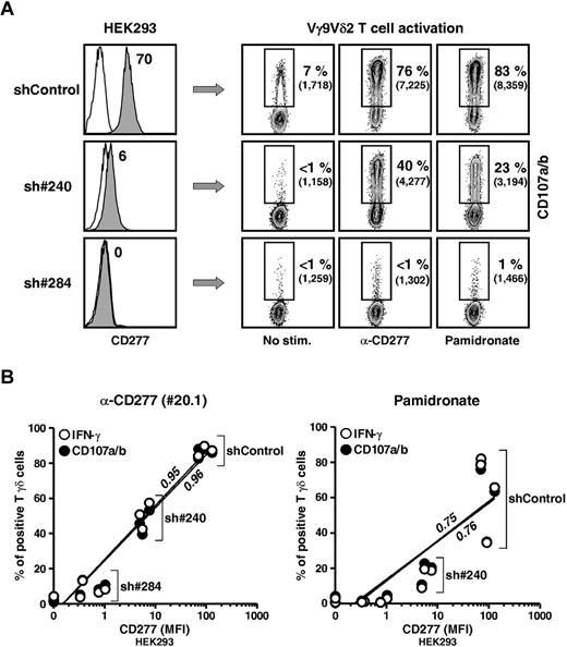 Figure 5. Abrogation of Vγ9Vδ2 T-cell responses by CD277 expression knockdown. (A) Left: Surface expression of CD277 molecules on human HEK293FT clones after transduction with lentivirus delivering irrelevant (shControl) or CD277-specific (sh#240 and sh#284) shRNAs. Open histograms represent control IgG. The value for the intensity of specific CD277 staining (mAb 103.2) is indicated. Right: CD107a/b expression on human Vγ9Vδ2 T cells (line GUI) after coculture with shRNA-transduced HEK293FT clones, pretreated for 2 hours with either anti-CD277 mAb (20.1; 10 μg/mL) or NBP (pamidronate, 100μM). Numbers adjacent to outlined areas indicate the percentage and mean of fluorescence intensity (MFI) of CD107a/b+ T cells. (B) CD107a/b expression and IFN-γ production by Vγ9Vδ2 T cells (line GUI) after incubation with shRNA-transduced HEK293FT clones pretreated for 2 hours with either anti-CD277 mAb (left, 20.1; 10 μg/mL) or NBP (right, pamidronate, 100μM). Data are percentage of CD107a+ (black circles) or IFN-γ+ (white circles) T cells versus the value for the intensity (MFI) of specific CD277 staining (mAb 103.2). sh#284, n = 6; sh#240, n = 3; and shControl, n = 3. Regression lines and calculated r2 values (0.95 and 0.75, for IFN-γ; 0.96 and 0.76 for CD107a/b) are indicated on the graphs.