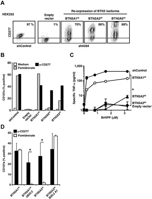 Figure 6. Key role played by BTN3A1 in PAg-induced activation of Vγ9Vδ2 T cells. (A) Surface expression of CD277 molecules on shRNA 284 transduced-HEK293FT cells, knocked down for the expression of endogenous CD277 molecules and selectively re-expressing, after transfection, silently mutated CD277 isoforms (BTN3A1m, BTN3A2m, or BTN3A3m). shControl indicates clone 3, random shRNA sequence; sh#284, shRNA-specific for CD277, clone 30; and empty vector, transfection of an empty plasmid. The values for the percentage of CD277+ cells are indicated. Data are representative of more than 3 independent experiments. (B) Expression of CD107a on Vγ9Vδ2 T cells (line GUI) after coculture with HEK293FT cells re-expressing BTN3A1m, BTN3A2m, or BTN3A3m isoforms and pretreated for 2 hours with NBP (pamidronate, 250μM) or anti-CD277 mAb (20.1, 10 μg/mL). (C) TNF-α release from Vγ9Vδ2 T cells (line GUI) induced by grading doses of soluble PAg (BrHPP) in coculture with HEK293FT cells re-expressing BTN3A1, BTN3A2, or BTN3A3 isoforms. Data are mean ± SD and are representative of 3 independent experiments. *P < .05 (paired Student t test). (D) Expression of CD107a on Vγ9Vδ2 T cells (line AL) after coculture with HEK293FT cells expressing full-length BTN3A1, BTN3A3, truncated BTN3A1 proteins lacking the intracellular B30.2 domain (BTN3A1mΔB30.2), or chimeric BTN3A3 proteins assembled with the BTN3A1 intracellular B30.2 domain (BTN3A3mB30.2A1). Target cells were pretreated for 2 hours with anti-CD277 mAb (20.1, 10 μg/mL) or NBP (pamidronate, 250μM). Data are mean ± SD of the percentage of CD107a+ γδ T cells (n = 3). *P < .05 (Student t test).