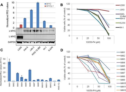 Figure 1. The 10058-F4 induced apoptosis in c-MYC–expressing primary myeloma cells and myeloma cell lines irrespective of IG-MYC translocations. (A) Expression of c-MYC and L-MYC mRNA and protein was evaluated in 6 human myeloma cell lines by quantitative RT-PCR and immunoblotting. The relative quantification (RQ) of mRNA levels was calculated using the δ δ Ct method with GAPDH as housekeeping gene. All mRNA values were compared with MYC mRNA in the KJON cell line, which was set to 1. (B) The effect on cell viability was evaluated by annexin-V FITC and propidium iodide staining after treatment by 10058-F4 for 48 hours. Examples of flow cytometry dot-plots are found in supplemental Figure 1. (C) Expression of MYC mRNA in 11 CD138+ primary myeloma cells. Levels of MYC in IH-1 and KMS-12-BM cell lines are included for comparison. For patient MM8, cDNA was not available. (D) Cell viability of 12 patient samples treated for 72 hours with increasing amounts of 10058-F4. Error bars represent SD of triplicate (A,C) or duplicate measurements (B,D).