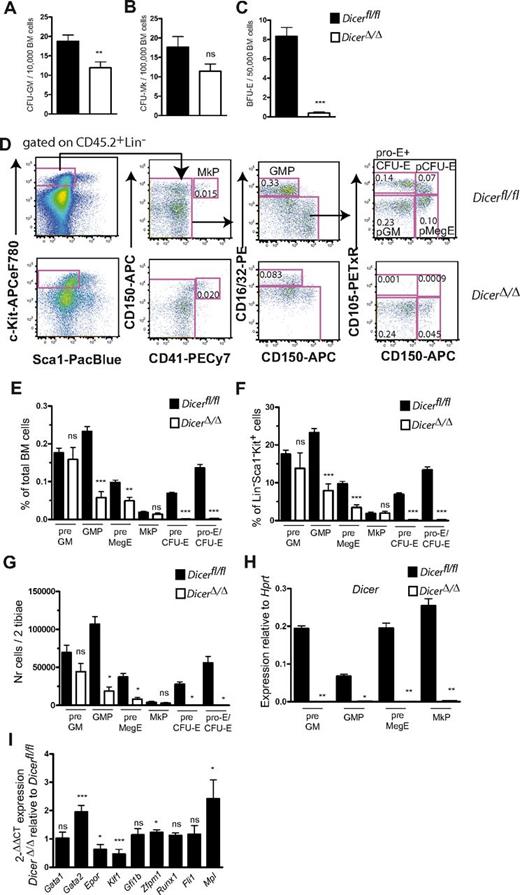 Figure 2. Dicer is critical for the earliest stages of the erythroid progenitor compartment. (A-C) Mean (± SEM) CFU-GM (A), CFU-Mk (B), and BFU-E (C) colonies at 8 to 9 days of culture from unfractionated BM cells isolated 12 days after intraperitoneal injections of 200 μg polyI:C every second day, 3 injections in total, of 11-day-old Dicerfl/fl (n = 4) and Dicer fl/fl;Mx1Cre mice (n = 8). Each mouse was analyzed in quadruplicate. (D) Representative FACS profiles of myelo/erythroid progenitor cells from lethally irradiated CD45.1 wild-type mice transplanted noncompetitively with Dicerfl/fl and DicerΔ/Δ (CD45.2) BM cells, analyzed 12 days after polyI:C treatment. Numbers indicate percentage within indicated gate, of total BM cells. (E-F) Mean (± SEM) frequencies of test cell-derived myelo/erythroid progenitors in transplanted mice. n = 10 or 11 mice/group, analyzed individually. (G) Mean (± SEM) numbers of test cell-derived myelo/erythroid progenitors in transplanted mice. n = 4 or 5 mice/group, analyzed individually. (H) Dicer deletion efficiency in pre-GMs, GMPs, pre-MegEs, and MkPs isolated from mice transplanted with DicerΔ/Δ BM cells and injected with polyI:C 12 days prior to analysis. Data are mean (± SEM) values from cells purified from 2 different pools of mice/genotype, 2 or 3 replicate wells/pool. (I) Megakaryocyte/erythroid gene expression in 100-200 pre-MegEs isolated from Dicerfl/fl and DicerΔ/Δ mice. Mean (± SEM) expression in DicerΔ/Δ relative to control Dicerfl/fl pre-MegEs, calculated using the 2−ΔΔCT method.17 Data generated from sorts performed on 6 cohorts of mice/genotype (2 or 3 mice/cohort), 13 or 14 technical replicates, 3 experiments in total. *P < .05. **P < .01. ***P < .001. ns indicates not significant. Statistics refer to comparison between DicerΔ/Δ mice and Dicerfl/fl control mice.