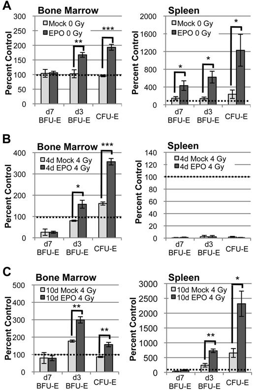 Figure 5. EPO-responsive progenitors are not present in the spleen until after their recovery in the bone marrow. (A) Erythroid progenitor kinetics in bone marrow and spleen 2 days after IP injection of 1000 IU/kg EPO in unirradiated mice. At steady-state, EPO-responsive progenitors are present in both bone marrow and spleen and rapidly expand in response to EPO stimulation. (B) Erythroid progenitor kinetics in bone marrow and spleen at 6 days after radiation ± IP EPO injection at 4 days post–4 Gy TBI. Late-stage erythroid progenitors expand in bone marrow but do not expand in spleen, indicating that EPO-responsive progenitors are not present in spleen during the period of rapid marrow recovery. (C) Erythroid progenitor kinetics in bone marrow and spleen at 12 days after radiation ± IP EPO injection at 10 days post–4 Gy TBI. EPO responsive progenitors are present in spleen by 10 days after radiation, consistent with delayed initiation of splenic expansion. Progenitors are normalized per femur or spleen and expressed as a percent of unirradiated control. Dotted lines represent unirradiated control levels in all graphs. Error bars represent SEM of at least 3 experiments, and 3 or more independently assayed mice were used to determine each data point. Statistical analyses were performed using a 2-tailed Student t test (*P < .05; **P < .01; ***P < .001; significantly different from mock-treated mice at matched time points).