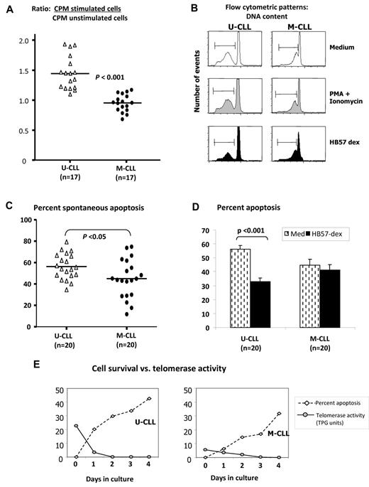 Figure 3. Effects of HB57-dex on B-CLL cell proliferation and survival. (A) A total of 2 × 105 isolated B cells in triplicate from 17 U-CLL and 17 M-CLL cases were cultured for ∼ 68 hours with culture medium or with HB57-dex. Cultures were pulsed with tritiated thymidine for the last 16 hours and harvested to count incorporated radioactivity. Stimulation ratios were calculated for each case as the ratio of radioactivity incorporated in stimulated cells relative to unstimulated cells. HB57-dex elicited significantly higher proliferation in U-CLL compared with M-CLL clones (P < .001; Mann-Whitney test). Purified B-CLL cells from 20 cases each of the U-CLL and M-CLL subgroups were incubated without or with BCR stimulation or mitogenic stimulation with PMA + ionomycin for a period of 3 days. (B) DNA content indicative of sub G0 (apoptotic peak) measured by propidium iodide staining. (C) Spontaneous apoptosis in B cells from 20 U-CLL and 20 M-CLL cases was significantly higher in U-CLL. (D) HB57-dex mediated rescue from apoptosis. Bar graphs represent mean ± SE values for rescue from apoptosis 20 cases each. Significant rescue from apoptosis is observed only in HB57-dex–treated U-CLL cells. (E) Simultaneous analysis of cell survival and telomerase activity in cell extracts after 3 days in culture. There is an inverse association in representative U-CLL and M-CLL cases.