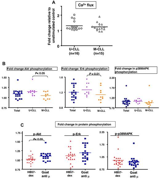 Figure 4. Goat anti-μ F(ab′)2–mediated membrane-proximal events. (A) Ca2+ flux in response to goat anti-μ F(ab′)2 was assayed for 5 minutes. Scatter plots of fold change in Ca2+ flux relative to control in 16 U-CLL versus 16 M-CLL cases. (B) Scatterplots depicting fold change in phospho-Akt, phospho-Erk, and phospho-p38MAPK levels in 20 B-CLL cases divided into U-CLL and M-CLL subgroups. U-CLL and M-CLL exhibited significant differences in the extent of phospho-Akt and phospho-Erk up-regulation after exposure to goat anti-μ. (C) Comparison of efficacy of HB57-dex and goat anti-μ F(ab′)2 in eliciting protein phosphorylation of Akt, Erk, and p38 MAPK, in B cells from 20 CLL cases. Goat anti-μ elicited a stronger response in terms of Akt phosphorylations than HB57-dex did (P < .05).