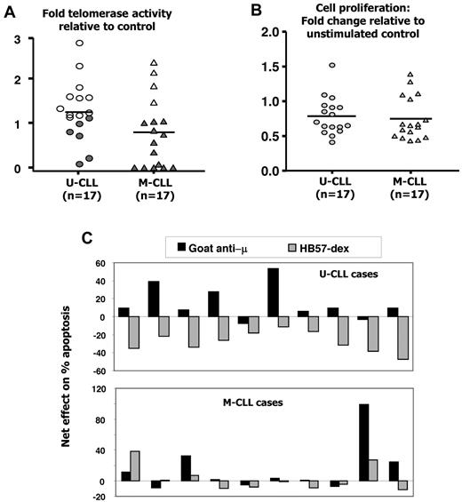 Figure 5. Effects of goat anti-μ F(ab′)2 on telomerase activity, proliferation, and survival in B-CLL cells. B-CLL cells from 17 cases each of the U-CLL and M-CLL subgroups were cultured alone or with F(ab′)2 fragments of goat anti-μ Ab. (A) Effect of BCR crosslinking on induction of telomerase activity. Four of 17 M-CLL clones (open symbols) show significant induction in telomerase activity. Fold increases in telomerase activity induced in U-CLL and M-CLL subgroups are comparable. (B) Goat anti-μ goat induced proliferative responses in 3 of 17 U-CLL and 5 of 17 M-CLL cases. (C) In a subset of 10 each of the cases studied for panel A, a comparison of the effects of the goat anti-μ F(ab′)2 with HB57-dex was performed. Note that, in 9 of 10 U-CLL cases, stimulation using HB57-dex resulted in rescue from spontaneous apoptosis, whereas 8 of 10 U-CLL cases showed an increase in apoptosis with the goat anti-μ F(ab′)2 Ab. Marginal (< 10%), insignificant rescue from apoptosis using HB57-dex was observed in 4 of 10 M-CLL cases.