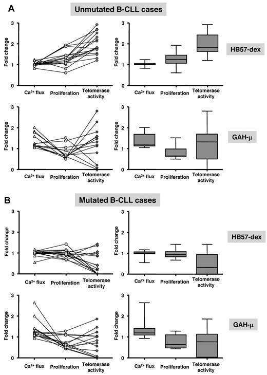 Figure 7. Comparison of Ca2+ flux, proliferation, and telomerase activity in individual cases. B-CLL cells from 16 U-CLL and 15 M-CLL cases were analyzed for responsiveness to HB57-dex and to goat anti-μ F(ab′)2. The left side of every panel depicts scattergrams representing fold change compared with unstimulated cells: Ca2+ flux, at 5 minutes after stimulation, and proliferation and telomerase activity after 3 days in culture. Each line connecting 3 points represents a single patient. The right half of every panel depicts box plots of the same data (on the left), indicating mean values (horizontal line inside box) and whiskers representing lowest and highest value for each parameter. The trend of responses is different for the U-CLL (A) and M-CLL (B) cases. B cells from unmutated cases show Ca2+ flux and proliferative response similar to those in the mutated cases, but their telomerase activity is significantly higher than in the mutated cases.