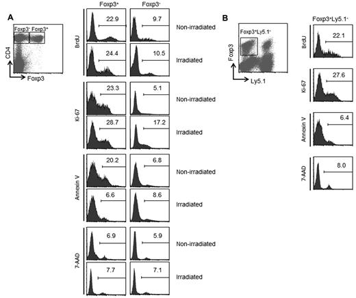 Figure 3. Analysis of proliferation and survival of Tregs during recovery from lymphopenia. (A) Irradiated or nonirradiated mice were injected intraperitoneally with 1 mg of BrdU for consecutive 3 days before sacrifice. Seven days after irradiation, single-cell suspensions were prepared from LNs and were analyzed using FACS. The percentages of BrdU+, Ki-67+, annexin V+, and 7-AAD+ cells on gated CD4+Foxp3+ and CD4+Foxp3− subsets are indicated. (B) Forty million of Ly5.1+ spleen cells were transferred into irradiated mice. LN cells from day 7 were analyzed by FACS. Histograms show the percentages of BrdU+, Ki-67+, annexin V+, and 7-AAD+ cells among Foxp3+Ly5.1− recipient cells.