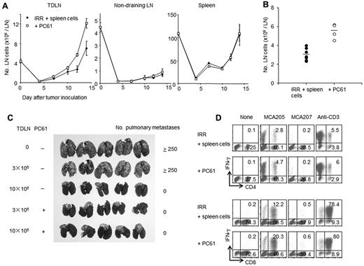 Figure 5. Depletion of Tregs after reconstitution increases the number of TEs in the TDLNs. (A) Irradiated mice were reconstituted with 40 × 106 naive spleen cells and then inoculated SD with 3 × 106 MCA205 tumor cells in the right flank. Next, these mice were treated with PC61. The numbers of cells in the TDLNs, NDLNs, and spleens were counted on the indicated day after tumor inoculation. Treatment with PC61 significantly increased the number of TDLN cells; however, this treatment did not affect the number of NDLN cells or spleen cells. (B) Twelve-day TDLNs were harvested from mice reconstituted with normal spleen cells (40 × 106) that were with PC61 treatment or left untreated. Each dot indicates the mean number of TDLN cells from separate experiments (n = 3 to 6 mice per group). (C) Reconstituted mice were inoculated SD with MCA205 tumor cells and then treated with PC61 or left untreated. Twelve days later, TDLN cells were harvested and activated in vitro as described in “Activation of tumor-draining lymph-node cells.” Mice bearing 3-day established pulmonary metastases were treated with 3 or 10 × 106 activated TDLN cells. The TDLN cells from PC61-treated mice showed greater antitumor efficacy. (D) Twelve-day TDLN cells were harvested from reconstituted mice that were treated with PC61 or left untreated. These TDLN cells were activated in vitro with the method of CD3/IL-2 and tested for IFN-γ production after specific or nonspecific stimulation. A representative result from 3 independent experiments is shown. The further depletion of Tregs after sublethal irradiation and reconstitution increased tumor-antigen specific T cells in the TDLNs.