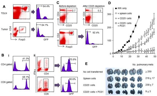 Figure 6. Radio-resistant recipient Tregs inhibit the development of antitumor immunity in reconstituted lymphopenic mice. (A) Forty million GFP+ spleen cells were transferred into irradiated mice that were then inoculated SD with MCA205 cells. TDLNs and tumors were harvested on day 12, and single-cell suspensions were analyzed for GFP expression within the gated CD4+Foxp3+ Tregs subset. The percentage of GFP− recipient cells among CD4+Foxp3+ cells is indicated. (B) Irradiated mice were reconstituted with GFP+ spleen cells (40 × 106) and injected SD with MCA205 tumor cells. Single-cell suspensions were prepared from the TDLNs and were analyzed using FACS. The percentage of the transferred donor cells in fresh TDLNs is indicated by the percentage of GFP+ cells (i). TDLN cells from mice reconstituted with GFP+ spleen cells were activated with the method of CD3/IL-2. Activated TDLN cells were further stimulated with MCA205 tumor digests and stained for the detection IFN-γ as described in “Intracellular IFN-γ staining.” The majority of tumor-specific cells were primed from the transferred donor GFP+ cells (ii). (C) GFP+ spleen cells were magnetically depleted of CD25+ cells. These CD25−GFP+ cells were transferred intravenously into irradiated mice. Twelve days later, LNs were harvested and stained for FACS analysis. More than 90% of the CD4+Foxp3+ cells were GFP− recipient cells. (D) Irradiated mice reconstituted with CD25− depleted spleen cells were injected with MCA205 tumor cells. These mice were then treated with anti–CD25 Abs to further inhibit the recipient Tregs. The depletion of the residual recipient-derived Tregs significantly augmented antitumor immunity. (E) TDLNs were harvested from mice reconstituted with CD25− spleen cells that were treated with anti–CD25 mAb or left untreated. Three million of activated TDLN cells were transferred into mice bearing 3-day established pulmonary metastases. The depletion of recipient Tregs enhanced the generation of TEs in the TDLNs.