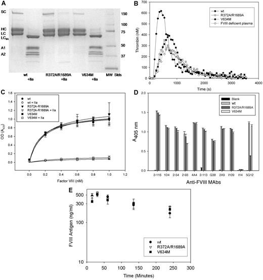 Figure 1. Characterization of inactive fVIII constructs. (A) SDS-PAGE of wt fVIII, R372A/R1689A fVIII, and V634M fVIII with and without exposure to thrombin (factor IIa). MW STDS indicates molecular weight standards; SC, single chain fVIII; HC, fVIII heavy chain (A1-A2 domains); LC, fVIII light chain; LCIIa, thrombin-cleaved light chain; A1, A1 domain; and A2, A2 domain. (B) Thrombin generation in fVIII-deficient plasma reconstituted with 2 μg/mL wt fVIII, R372A/R1689A fVIII, or V634M fVIII. (C) Binding of wt fVIII, R372A/R1689A fVIII, or V634M fVIII to immobilized VWF in the presence or absence of exposure to thrombin detected by ELISA as described in “Binding of fVIII to VWF.” (D) ELISA of binding of wt fVIII, R372A/R1689A fVIII, or V634M fVIII to immobilized domain-specific anti-fVIII capture mAbs 2-116 (A1), 1D4 (A2), 2-54 (A2), 2-93 (A2), 4A4 (A2), 2-113 (A3), G38 (A3), 5G12, 2A9 (C1), I-109 (C2), and I14 (C2, negative control). Biotinylated I14 was used as the detection antibody. (E) Clearance of 1 μg of wt fVIII, R372A/R1689A fVIII, or V634M fVIII after tail-vein injection in FVIII−/− mice. Errors represent sample SDs.