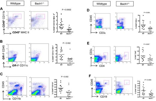 Figure 2. Bach1−/− EAE mice display less inflammation in the CNS than WT animals. Spinal cords of mice were harvested 1 month after EAE induction, and immune cell infiltrates were quantified by FACS. The left graph represents the FACS plots after forward scatter and side scatter gating, and the right plot shows the compiled data of the relative percentage of corresponding immune cells infiltrated into the spinal cord of the EAE animals. (A) Lower APCs (CD45+ CD11b+ MHC II+) in Bach1−/− mice induced with EAE. Displayed FACS plots are CD45+ gated. (B) DCs were distinguished as CD45+ CD11c+ GR-1− cells. Displayed FACS plots are GR-1− gated. (C) Microglia population was marked as CD45int CD11b+ population. (D) Infiltration of pan T cells in the spinal cord were identified as CD45+ CD3ϵ+ cells. (E) Th infiltrates were distinguished as CD3e+CD4+ cells (cell population in pink box). (F) B cells in the spinal cord were identified as CD45+ CD19+ cells (cell population in pink box). Bolded letters of the surface markers denote that the plot shown are after gating to that particular marker. Each group contains ≥ 15 animals. Unpaired 2-tail Student t test performed for all the panels to obtain P value. The horizontal bars on each graph represents the average percentage.