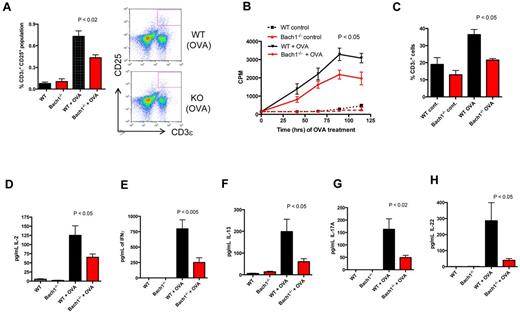 Figure 3. Defective Th response on ablation of Bach1. WT or Bach1−/− mice were immunized subcutaneously with 100 μg of OVA/CFA. One month after immunization, the animals were boosted with 100 μg in IFA. Splenocytes were isolated, equal numbers were plated and cultured with OVA (10 μg/mL). (A) Bach1−/− splenocytes are defective in T-cell activation. After 2 days of OVA treatment, splenocytes were subjected to flow cytometric analysis to determine the percentage of T cells that expressed the activation marker (CD25) after OVA induction. The graph shows the average percentage of CD3ϵ+ CD25+ population in the splenocytes. P < .05. KO indicates knockout. (B) Bach1−/− splenocytes are defective in antigen-specific–stimulated proliferation. Splenocytes were pulsed with tritiated (3H) thymidine for 16-24 hours. The incorporated radiolabeled thymidine in the cells was quantified in scintillation fluid and measured as counts per minute (CPM). The time on the x-axis indicates the hours of OVA stimulation, which also includes the 3H thymidine pulse time. Two-way ANOVA of WT OVA versus Bach1−/− OVA, P < .001. (C) Impaired OVA-induced T-cell expansion on deletion of Bach1. Splenocytes were cultured for 60 hours, and flow cytometry was used to quantify the percentage of CD3ϵ T cells. (D-H) Defective production of T-cell cytokines on OVA restimulation in Bach1−/− splenocytes. After OVA restimulation of culture splenocytes for 3 days, ELISAs were performed with the supernatant fluid to measure cytokine production. Three independent experiments were performed, and each experiment contained 4-12 mice per genotype. WT OVA versus Bach1−/− OVA, P < .05. All plots are expressed with SEM.
