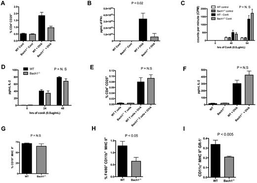 Figure 4. Impaired T-cell responses in C57bl/6 recipient animals reconstituted with BMCs from Bach1−/− donors. Lethally irradiated C57bl/6 recipients reconstituted with BMCs from WT or Bach1−/− donors were immunized with OVA/CFA, and splenocytes were cultured in the presence or absence of OVA. After 3 days in culture, splenocytes were subjected to (A) flow cytometric analyses (see also supplemental Figure 1A) to quantify the percentage of CD4+ cells that expressed the CD25 T-cell activation marker and (B) the supernatant fluids were examined for the amount of IFNδ with the use of ELISAs. Student t test P < .05 for the OVA-treated samples. (C) Total splenocytes from WT or Bach1−/− animals were stimulated with concanavalin A (ConA) and pulsed with tritiated thymidine for the last 16-22 hours. (D) The amount of IL-2 secreted by T cells in total splenocytes after stimulation with ConA was determined by ELISA. (E-F) WT and Bach1−/− mice were immunized with OVA/CFA and boosted with OVA/IFA. Splenic CD4+ T cells from these animals were purified 2 weeks later and cocultured with naive total WT splenocytes in the absence or presence of OVA for 72 hours. The percentage of activated CD4+ T cells (CD4+ CD25+) was measured by flow cytometry, (E) and the amount of secreted IL-2 was quantified by ELISA (F). Splenocytes from animals that had undergone immunization with OVA/CFA were subjected to flow cytometric analyses to examine the percentage of B cells (G), macrophages (H), and DCs (I). See also supplemental Figure 1B, C, and D for flow cytometric plots for panels G, H, and I, respectively. The data represent averages of ≥ 3 mice per group.