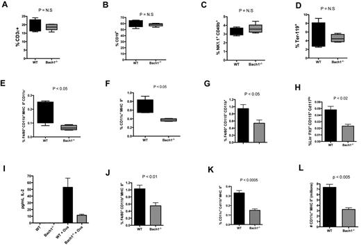 Figure 5. Bach1 regulates steady state development of macrophages and DCs through its intrinsic function in the BM compartment. White blood cells (WBCs) harvested from splenocytes of age-matched adult animals were subjected to FACS analyses to quantify the percentage population of (A) T lymphocytes (CD3ϵ+), (B) non–plasma B cells (CD19+), (C) natural killer cells (NK1.1+, CD49b+), (D) erythrocytes (Ter-119+), (E) monocyte/macrophages (F4/80+ CD11b+ CD11c− MHC II+), and (F) DCs (CD11c+ MHC II+). (G-H) Bach1 regulates the development of DC-precursors and monocytes. WT and Bach1−/− BM cells were subjected to flow cytometric analyses to quantify the percentage of DC-precursors (G) and monocytes (H). LIN contains a cocktail of Ter-119, CD11b, B220, GR-1, and CD3ϵ. (I) Equal numbers of splenocytes from naive WT or Bach1−/− mice were cocultured with purified OTII CD4+ T cells in the absence or presence of OVA for 72 hours. The amount of secreted IL-2 was quantified by ELISA. WT versus Bach1−/− OVA-treated samples: P < .05. (J) Macrophages and (K) DCs (right panel) in the BM of lethally irradiated C57bl/6 recipients reconstituted with BMCs from WT or Bach1−/− donors. (L) Bach1 influences the development of BM cells into DCs in vitro. Equal numbers of WT and Bach1−/− BMCs were cultured with 20 ng/mL GM-CSF. Total number of DCs (CD11c+ MHC II+) generated at day 7 was calculated by cell counting and flow cytometric analyses. All data represent experiments containing ≥ 3 animals per genotype. The graphs are plotted with SEM.