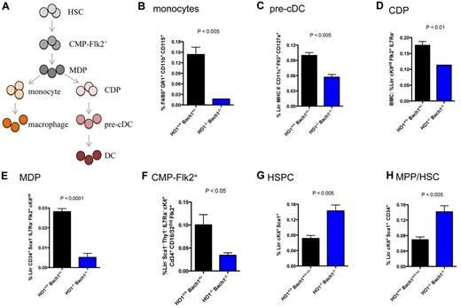 Figure 7. BM cells were harvested from adult mice and subjected to flow cytometric analyses. (A) Development of macrophages and DCs from HSCs. HSCs give rise to CMP-Flk2+. Macrophage-DC-restricted progenitors (MDPs) can generate both macrophages and DCs, whereas common DC progenitors (CDPs) are restricted to formation of DCs. The panels correspond to the following cells: (B) monocytes, (C) pre-cDCs, (D) CDPs, (E) MDPs, (F) CMP-Flk2+ cells, (G) HSPCs, and (H) multipotent progenitor (MPP) or short-term hematopoietic stem cells (ST-HSCs). Each plot represents ≥ 3 mice. The graphs are plotted with SEM.