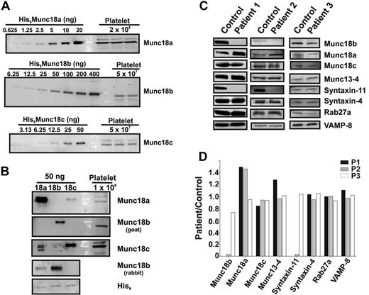 Figure 1. Munc18b is the major Munc18 isoform in platelets and is missing in platelets from FHL5/Munc18b/STXBP2 patients. Recombinant Munc18a, b, and c were used to generate a standard curve for quantification (using ECF Western blotting) of each Munc18 isoforms in the indicated number of human platelets (A). Equal amounts of each Munc18 isoform were subjected to Western blotting with the antibodies used in this study to evaluate their cross-reactivity (B). Platelet extracts (1.0-2.0 × 107 platelets/lane) from control and FHL5 patients were probed by Western blotting with the indicated antibodies (C), and the ratio of patient to control levels of each protein was calculated and graphed (D).