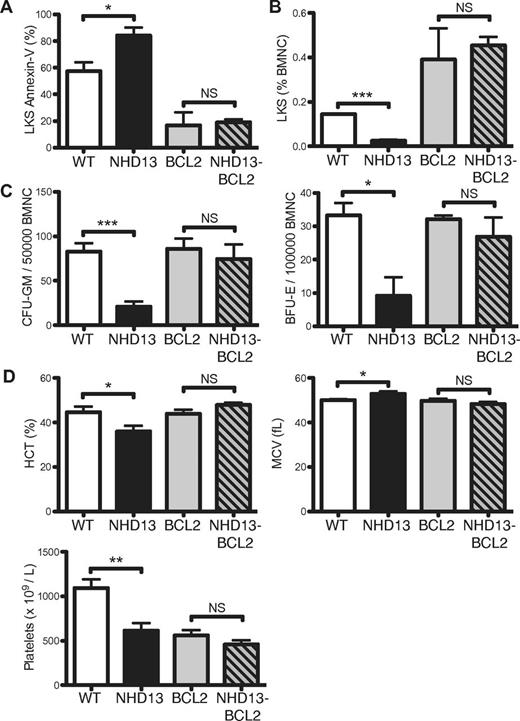Figure 4. Enforced BCL2 expression inhibits the excess apoptosis of NHD13 hematopoietic progenitors. (A) Proportions of annexin-V–positive LKS cells from WT, NHD13, BCL2, and NHD13/BCL2 mice (n = 3 of each genotype). (B) Proportions of LKS cells in BM from 3 mice of each genotype. (C) CFU-GM and BFU-E numbers in BM from 3 mice of each genotype. (D) Hematocrit (HCT), red cell mean cell volume (MCV), and platelet count of 5 mice of each genotype. All measurements were made on 3-month-old mice. Error bars represent the SEM (NS indicates P > .05; *P < .05; **P < .01; ***P < .001).