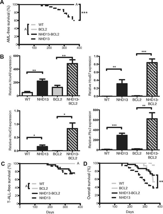 Figure 5. BCL2 prevents transformation of MDS to AML in NHD13 mice. (A) Kaplan-Meier AML-free survival of WT (n = 20), NHD13 (n = 34), BCL2 (n = 23), and NHD13/BCL2 (n = 29) mice. Mice that died from causes other than AML were censored at time of death. Note that WT, BCL2, and NHD13/BCL2 lines are overlaid (indicated by A). (B) Q-RT-PCR analysis of HoxA9, HoxB7, HoxC6, and Pbx3 expression in LK cells of each indicated genotype (n = 3 of each genotype). (C) T-ALL–free survival in the same cohorts of mice. Mice that died from causes other than T-ALL were censored at time of death. Note that the WT and BCL2 lines are overlaid (indicated by A). (D) Overall survival of the same cohorts of mice. P values indicate difference from the survival of NHD13 mice. (*P < .05; **P < .01; ***P < .001).