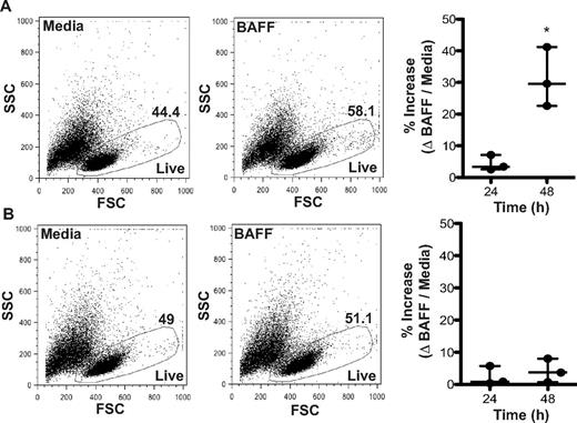 Figure 5. BAFF promotes survival of CD27− B cells from patients with cGVHD. Frequency of live cells with or without BAFF measured by FSC and SSC in (A) CD27− or (B) CD27+ B cells from patients with cGVHD. (A) Left panel: Dot plots show the frequency of live CD27− B cells from a patient with cGVHD treated with media (44.4%) or BAFF (58.1%) for 48 hours. Right: Percent increase in live CD27− B cells in response to BAFF quantified at 24 and 48 hours. Data are median ± range from a single experiment; n = 3. *P = .009 (unpaired 2-tailed t test). (B) Left panel: Dot blots show the frequency of live CD27+ B cells from a patient with cGVHD treated with media (49.0%) or BAFF (51.1%) for 48 hours. Right: Percent increase in live CD27+ B cells in response to BAFF quantified at 24 and 48 hours. Data are median ± range from a single experiment; n = 3. Not significant, P = .53 (unpaired 2-tailed t test).