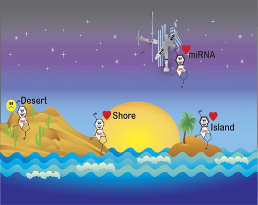 Decitabine-induced methylation reversal occurs in CpG Islands, shores, and mIR-associated promoters, but not gene deserts.