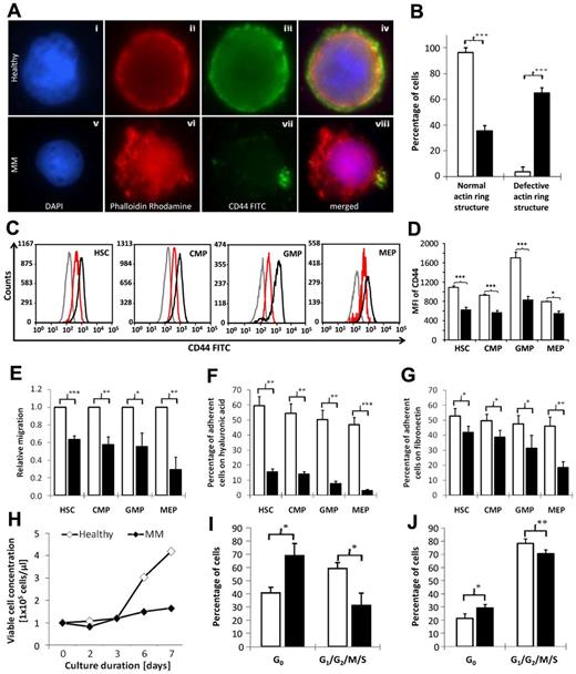Figure 3. MM HSPCs have disturbed migratory and adhesive properties. (A) Fluorescence micrographs show staining of (i,v) the nucleus, (ii,vi) the actin structure, (iii,vii) CD44, and (iv,viii) a merge in a representative HSC from a healthy donor and an MM patient, respectively. One representative of 4 experiments is shown. (B) For quantification of normal and defective actin assembly, 100 cells were counted and the mean percentages of cells with a normal and defective actin ring structure were determined. (C) Mean fluorescence intensity (MFI) of CD44 was determined by staining with an FITC-conjugated anti-CD44 Ab and flow cytometric analysis. Representative histogram plots of 6 experiments are shown for each subset indicated. Gray line indicates isotype control; black line, healthy donors; and red line, MM patients. (D) Bar charts represent the mean MFI of CD44 in healthy donors (□) and MM patients (■) for each HSPC subset indicated. Error bars represent SEM. (E) Chemotaxis toward stromal-derived factor 1 (SDF-1) in the lower chamber was allowed to continue for 3 hours at 37°C, 5% CO2 in a humidified atmosphere. The relative transmigration of distinct HSPC subsets of MM patients (■) compared with their healthy counterparts (□) is shown. Highly purified HSPC subsets (5 × 103 cells each) of 4 healthy donors (□) and 4 MM patients (■) were allowed to adhere on hyaluronic acid (HA)– and fibronectin (FN)–coated glass slides for 3 hours at 37°C, 5% CO2 in a humidified atmosphere. Mean percentages of adherent cells on (F) HA- and (G) FN-coated glass slides are shown. (H) Equal numbers of BM HSPCs of 6 MM patients and 6 healthy donors were grown in liquid medium supplemented with SCF, TPO, and FLT-3L. On days 0, 2, 3, 6, and 7, viable cell concentrations were determined. Cell-cycle distribution of total BM HSPCs and HSPC subsets was determined ex vivo by staining with FITC-conjugated Ki-67 Ab (intracellular) and Hoechst 33 342 and flow cytometric analysis. The bar charts show the mean percentage of (I) HSPCs and (J) MEP in G0 and G1/G2/S/M phases obtained from the BM of healthy donors (□) and MM patients (■). Error bars represent SEM. The Student t test was used to detect statistically significant differences. *P < .05; **P < .01; ***P < .001.