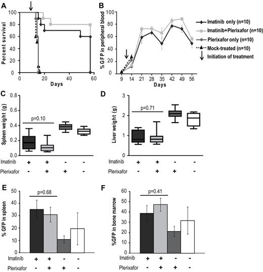 Figure 2. Addition of plerixafor to imatinib does not improve survival or decrease disease burden of leukemic mice. (A) Kaplan-Meier survival analysis of mock-treated, plerixafor only, imatinib only, or imatinib + plerixafor treatment groups (P = .3228, log-rank test). The experiment was terminated at day 57. (B) FACS analysis for GFP to assess the proportion of leukemia cells in the peripheral blood. (C-D) Spleen and liver weights measured at necropsy. (E-F) Percentage GFP+ cells in spleen and bone marrow measured by FACS.