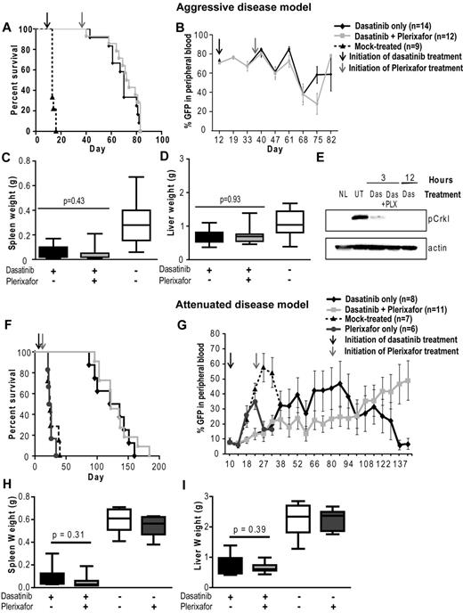 Figure 4. Addition of plerixafor to dasatinib does not improve survival or decrease disease burden of leukemic mice. Experiment was performed with both aggressive (A-E) and attenuated disease models (F-I). (A,F) Kaplan-Meier survival analysis of mice treated with dasatinib only or in combination with plerixafor (P = .2934, log-rank test). (B,G) FACS analysis for GFP+ cells to assess the proportion of leukemia cells in the peripheral blood. (C-D,H-I) Spleen and liver weight measured at necropsy of leukemic mice. (E) pCrkL levels measured by Western blot analysis in bone marrow cell lysates of dasatinib (Das) and dasatinib + plerixafor (Das + PLX) treated mice after indicated time of treatment compared with normal mice (NL) and untreated leukemic mice (UT).
