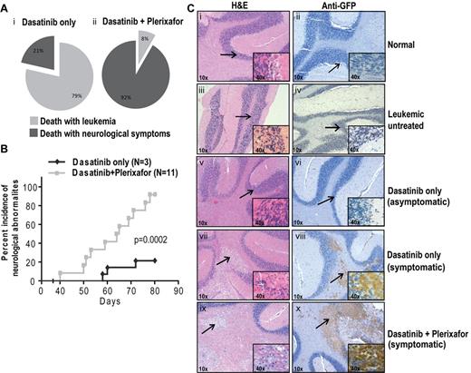 Figure 6. Plerixafor combination with dasatinib increases neurologic symptoms of leukemic mice. (A) Percentage incidence of neurologic symptoms in dasatinib only and combination group (i-ii) after excluding 5 mice from each group, which were taken off treatment at day 68. (B) Incidence of neurologic symptoms, from first occurrence of symptoms to death in symptomatic mice. Significant difference was observed between dasatinib only and dasatinib + plerixafor groups (P = .0002, log-rank test) in the occurrence of neurologic symptoms. (C) Hematoxylin and eosin (left panel) and anti-GFP immunohistochemistry (right panel) on brain sections. Arrow indicates the area of the brain, which is shown in higher magnification normal brain structure (i-vi) and leukemic infiltrates (vii-x).