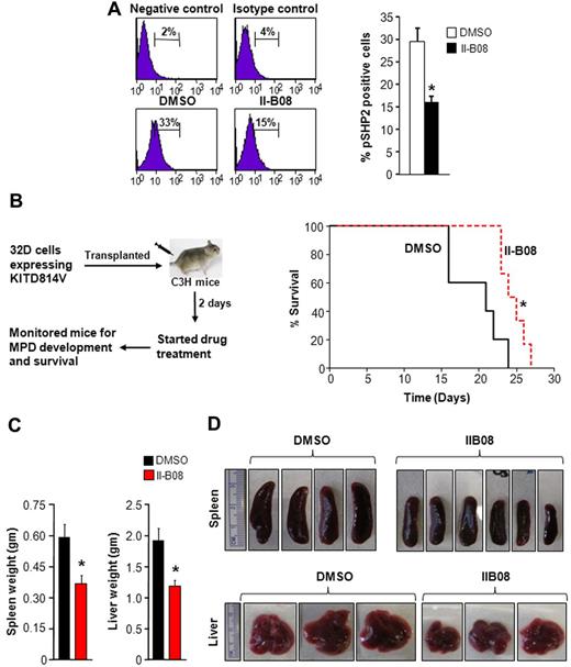 Figure 3. In vivo SHP2 inhibitor treatment of KITD814V-bearing mice enhances their survival and modulates MPD. (A) Mice received 100 mg/kg II-B08 intraperitoneally each day for 7 days. Mice were harvested after 24 hours of final injection, and peripheral blood, BM, spleen, and thymus were analyzed. Cells from spleen were stained with anti–phospho-SHP2 antibody by intracellular staining and analyzed by flow cytometry. Left panel: representative phospho-SHP2 flow micrographs. Right panel: average percentage of phospho-SHP2-positive cells from 4 mice. A 50% reduction in the phosphorylation of SHP2 was observed in mice treated with II-B08 compared with DMSO. (B) Kaplan-Meier survival analysis of leukemic mice treated with DMSO or II-B08. The 32D cells bearing oncogenic KITD814V were injected into syngeneic C3H/HeJ mice through tail vein. Mice were treated with either vehicle DMSO (n = 5) or II-B08 (50 mg/kg body weight; n = 6) at 12-hour intervals for 14 days. Left panel: schematic of drug treatment model. Right panel: survival curve. Significantly prolonged survival of mice treated with II-B08 was observed compared with mice treated with DMSO. *P < .05. (C-D) Reduced splenomegaly and hepatomegaly in KITD814V-bearing mice treated with II-B08. Average weights (C) and pictures (D) of spleen and liver of mice transplanted with cells bearing oncogenic KITD814V and treated with DMSO or II-B08. Significant reduction in spleen and liver weights was observed in mice treated with II-B08 compared with mice treated with DMSO. n = 5 or 6. *P < .05.