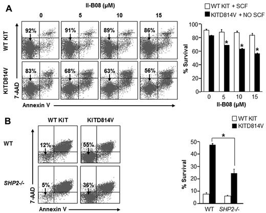 Figure 4. SHP2 is essential for oncogenic KITD814V-induced ligand-independent survival. (A) Primary BM-derived WT KIT or KITD814V-expressing cells were starved and treated with indicated concentrations of II-B08 for 48 hours. Assays were performed in the presence of SCF (50 ng/mL) for cells bearing WT KIT and in the absence of growth factors for cells bearing KITD814V. Cells were harvested and stained with PE-conjugated anti–annexin V antibody and 7-amino-actinomycin D followed by flow cytometric analysis. Left panel: representative flow micrographs. Right panel: bars represent the mean percent of surviving cells from 2 independent experiments. *P < .05. (B) Primary BM cells bearing WT KIT or KITD814V from WT or SHP2−/− mice were starved of serum and growth factors for 6 hours and cultured in media containing serum for 48 hours in the absence of growth factors. After 48 hours, cells were harvested and stained with PE-conjugated anti–annexin V antibody and 7-amino-actinomycin D followed by flow cytometric analysis. Left panel: representative flow micrographs. Right panel: bars represent the mean percent of surviving cells from 1 of 3 independent experiments. *P < .01.