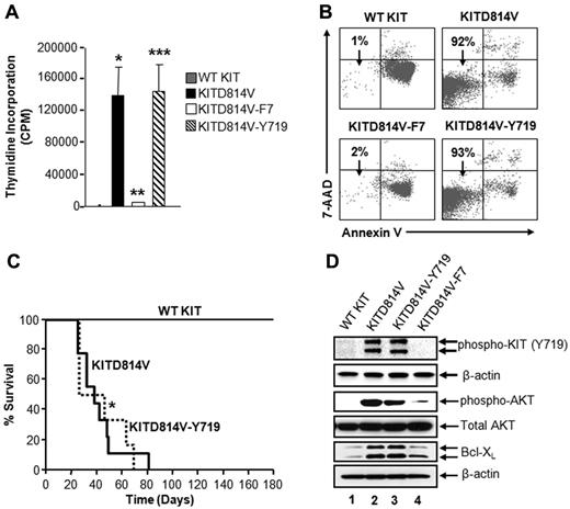 Figure 6. Tyrosine 719 associated p85α, SHP2, and Gab2 complex is sufficient for KITD814V-induced ligand-independent growth and survival in vitro and MPD in vivo. (A) Primary HSC/Ps derived from Wsh/sh mice, which lack endogenous expression of KIT receptor, were transduced with the indicated chimeric KIT receptors and sorted to homogeneity based on EGFP expression. Cells were starved in serum- and growth factor-free media for 6 hours and subjected to proliferation assay in the absence of growth factors by thymidine incorporation. Bars represent the mean (CPM ± SD) thymidine incorporation from 1 of the 3 independent experiments performed in quadruplicate. *P < .05, WT KIT vs KITD814V. **P < .05, KITD814V vs KITD814V-F7. ***P < .05, KITD814V-F7 vs KITD814V-Y719. (B) The 32D cells bearing the indicated chimeric receptors were starved of serum and growth factors and cultured for 48 hours in the absence of growth factors. Cells were harvested and stained with anti–annexin V antibody and 7-amino-actinomycin D followed by flow cytometric analysis. Double-negative cells in the lower left quadrant are indicated as surviving cells. Representative dot blots are shown. (C) Kaplan-Meier survival analysis of mice transplanted with the primary HSC/Ps bearing indicated KIT receptors (n = 8-18 per group). Results show that restoration of Y719 alone is sufficient to induce transformation in vivo (median survival, 55 days; n = 15). (D) The 32D cells bearing the indicated chimeric KIT receptors were starved in serum- and growth factor-free medium for 8 hours. Starved cells were lysed, and equal amounts of protein lysates were subjected to Western blot analysis using an anti–phospho-KIT (Y719), anti–phospho-AKT, total AKT, Bcl-xL, and β-actin antibodies as indicated. Similar results were observed in 3 independent experiments.