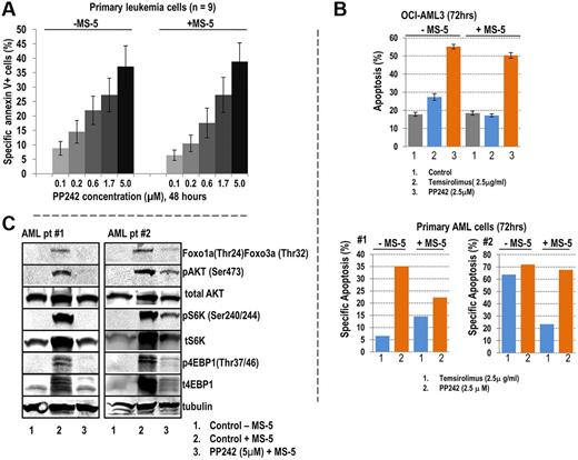 Figure 1. PP242-induced apoptosis in primary AML cells. (A) Nine samples obtained from patients diagnosed AML with high blast count were treated with PP242 at indicated concentrations in the presence or absence of MS-5 stromal cells for 48 hours. Apoptotic cells were detected using annexin V+ flow cytometry. The percentage of specific annexin V+ apoptosis was calculated as described in “Cell viability.” Data represent average ± SEM of specific apoptosis in 9 AML samples. (B) Comparison of proapoptotic effects of PP242 and temsirolimus. OCI-AML3 cells (top panel) and 2 primary AML samples (bottom panel) were treated with PP242 and temsirolimus with or without MS-5 coculture for 72 hours, and the percentage of apoptotic cells (annexin V+/DAPI+/CD45+) was detected by flow cytometry. (C) AML cells from samples of patient no. 1 and no. 2 cocultured with MS-5 were treated with 2.5μM PP242 for 24 hours. Cells were harvested, and lysates subjected to immunoblotting with indicated antibodies to probe mTOR signaling.