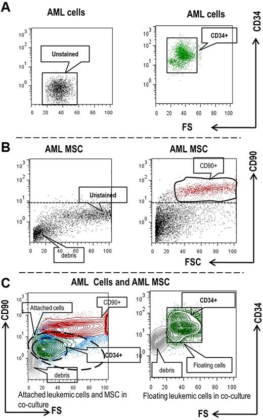 Figure 2. Flow cytometry-based discrimination of primary AML cells and MSCs cultured alone or cocultured. Primary AML cells (A) or AML MSCs (B) cultured alone and used as controls; or harvested from AML/MSC coculture (C) were fixed, permeabilized, and stained with the indicated cell surface markers. (C) Contour blot depicting different population of attached AML cells and MSCs (left) and floating AML cells (right) detected by flow cytometry in the coculture setting. Blue, CD90(−) AML cells; green CD34+ AML progenitor cells; red, CD90+ AML MSCs.