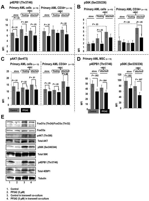 Figure 3. PP242-mediated intracellular mTOR signaling in primary AML cells and MSCs cultured alone or cocultured. Measurement of the MFI of intracellular p4EBP1 (Thr37/46; A), pAKT (Ser473; C), and pS6K (Ser235/236; B) in primary AML cells, AML CD34+ progenitor cells, and primary AML MSCs (D) cultured alone and in cocultures using flow cytometry, The gray bars represent the MFI of the phosphorylated proteins before, and the black bars after treatment with PP242 for 72 hours. Cells were cultured in medium only (“alone”), or cocultured with MSCs (“floating” or “attached” cells, respectively). Data represent average ± SEM of MFI of the phospho-proteins measured in the indicated number of primary samples. Paired 2-sample t test was used to determine reported P values. (E) Primary AML cells and MSCs in a transwell setting (described in “Leukemia/MSC/MS-5 coculture”) were treated with PP242 for 24 hours. Cells were then lysed, and mTOR signaling targets in the AML cells were detected by immunoblotting.