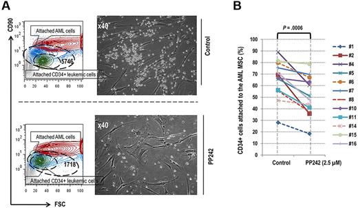 Figure 4. PP242 reduced the proportion of the leukemic cells attached to primary MSCs in coculture condition. (A). Contour blot depicting different population of attached cells detected by flow cytometry in the coculture setting. Leukemic cells (blue), CD34+ AML cells (green), and MSCs (red). Right, microscopic images display these cocultured AML cells and MSCs before and after PP242 treatment. (B) Percentage of AML CD34+ progenitor cells attached to the primary AML MSCs in the coculture setting before and after PP242 treatment for 72 hours. In samples from 8 patients depicted by solid lines, the percentage decrease in the attached cell number exceeded the percentage decrease in the total number of cells after the PP242 treatment.
