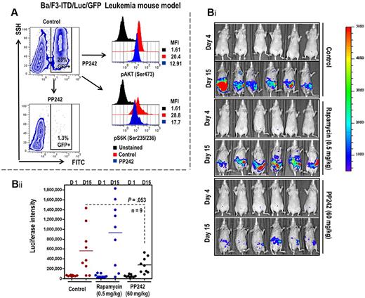 Figure 6. PP242 suppression of AML cell expansion in Ba/F3-ITD/luc/GFP mouse model of leukemia. (A) Peripheral blood obtained from retro-orbital plexus before and 2 hours after PP242 administration. Whole blood was fixed and permeabilized as described in “Flow cytometry.” The cells were then stained with antibodies against pAKT (Ser473), and pS6K (Ser235/236), and the MFI of each intracellular marker in GFP+ leukemic cells was assessed using flow cytometry after gating on GFP+ cells. (Bi-ii) The leukemia burden was monitored using bioluminescent imaging on days 5 and 14 after leukemia-cell inoculation (i). The bioluminescent intensities were averaged the peak light-emitting exposure in each group of mice and displayed as photons/second in the bar graphs (ii).
