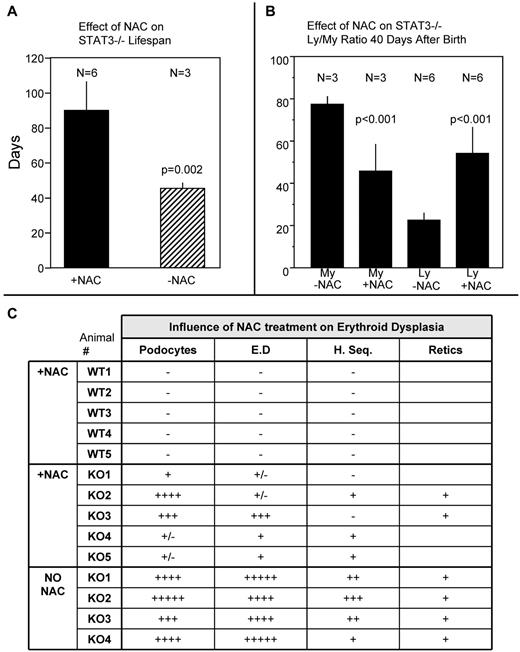 Figure 5. NAC injections extend the lifespan of STAT3−/− mice and lessen the severity of erythroid dysplasia phenotype. (A) Influence of NAC injections (1.5 mg per mouse 2 times/wk beginning 4 weeks after birth) on lifespan (in days) of STAT3−/− mice. (B) Results of manual lymphoid and myeloid blood cell counts on STAT3−/− blood smears taken 40 days after birth with and without NAC injections as in Figure 4C. My indicates myeloid cell counts (%); Ly, lymphoid cell counts (200 white cells were counted per smear stained with Wright-Giemsa). (C) Semiquantitative assessment (1+ to 5+) of podocytes (target cells), erythroid dysplasia (E.D; hypochromatic erythrocytes), hypersegmented neutrophils (H. Seg.), and reticulocytosis (Retics) on blood smears from WT and STAT3−/− animals 40 days after birth with or without NAC injections.