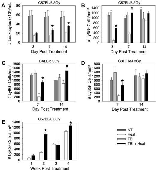 Figure 1. Neutrophil numbers in the peripheral blood are increased when TBI is followed by heat treatment. Mice were left untreated (NT), treated with heat alone, with TBI alone, or with TBI followed 2 hours later with mild heating sufficient to raise their body temperature to approximately 39.5°C for 6 hours. The total number of leukocytes (A) and the total number of Ly6G+ cells (B-D) were calculated in C57BL/6 (A-B), BALB/c (C), and C3H/HeJ (D) mice treated with 3 Gy TBI with or without heat treatment. Neutrophil numbers were calculated using the percentage of Ly6G+ cells and the total leukocyte cell counts. (E) Total number of Ly6G+ cells was calculated in C57BL/6 mice treated with 6 Gy TBI with or without heat treatment. Each graph is representative of at least 3 separate experiments. n = 5 mice per group. Statistical analysis comparing TBI alone and TBI followed by heat treatment was performed: *P < .02 (Student t test).