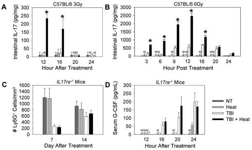 Figure 4. Increased neutrophil recovery after heat treatment is dependent on IL-17. C57BL/6 or IL17ra−/− mice were left untreated (NT), treated with heat treatment alone, TBI alone, or TBI followed 2 hours later with a 6-hour heat treatment. (A-B) Cell lysates from intestine of C57BL/6 mice that received either 3 Gy (A) or 6 Gy (B) TBI with or without heat treatment were collected, and ELISAs were performed using 50 μg lysate per well to determine concentrations of IL-17. (C) Ly6G+ cell counts were performed in IL17ra−/− mice 7 and 14 days after TBI. (D) Serum from IL17ra−/− mice that received 3 Gy TBI with or without heat treatment was collected, and ELISAs were performed to determine G-CSF concentrations. Each graph is a representative of at least 2 separate experiments. n = 5 mice per group. *P < .01, TBI alone group vs TBI followed by mild heating. n.d. indicates not detected.