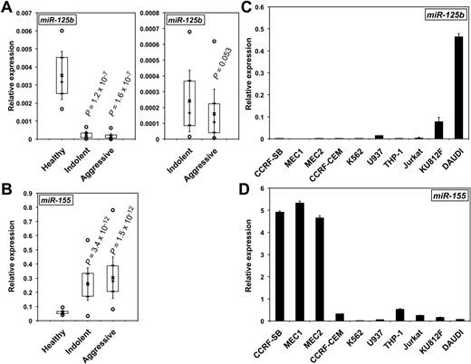 Figure 1. MiR-125b expression decreases in CLL patients and in CLL-derived cell lines. The relative levels of miR-125b (A) and miR-155 (B) in patients with CLL were determined by qRT-PCR. P values (Student t test) are given for indolent (n = 35) and aggressive (n = 38) versus healthy (n = 15; A, left) and for indolent versus aggressive (A, right). Boxes include values from the first to the third quartiles; o indicates extreme data points; +, median; x, mean ± SD. The relative levels of miR-125b (C) and miR-155 (D) in CLL cell lines (MEC1 and MEC2), a B-lymphoblastoid leukemia cell line (CCRF-SB), Burkitt lymphoma DAUDI B lymphoblasts, T cells (CCRF-CEM, Jurkat, and K812F), and monocytes (THP-1 and U937) were determined by qRT-PCR. qRT-PCRs were run in triplicate with the use of 3 different cDNAs (C-D).