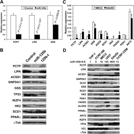Figure 2. miR-125b targets transcripts encoding enzymes and regulators of cell metabolism. (A) Luciferase assays showing miR-125b effects on the expression of luciferase constructs containing the indicated 3′-UTR in HEK-293 cells. Values represent mean ± SD (n = 4). P values (Student t test) are given for miR-125b versus control. (B) The effects of miR-125b and of an antisense miR-125b inhibitory RNA (125b-I) on the expression of the indicated enzymes and factors in MEC2 cells were analyzed on Western blots. A representative normalizer (αTub, ie, α-tubulin) is shown. (C) The relative levels of the indicated transcripts in MEC2 and DAUDI cell lines were determined by qRT-PCRs run in triplicate from 3 different cDNAs. Values represent mean ± SD (n = 3). * and **, DAUDI significantly different from MEC2. *P < .05, **P < .027. (D) The relative levels of the indicated enzymes and factors in cell lines of different origins were assessed on Western blots. miR-125b relative expression levels (miR-125b R.E.) are shown underneath the name of the cell lines, with THP-1 cells used as a reference.
