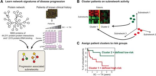 Figure 1. Schematic overview of subnetwork identification and definition of risk groups. (A) The expression profile of each gene is projected onto its corresponding protein in a protein-protein interaction subnetwork. A greedy search is performed to find subnetworks for which the activities are associated with the time from sample collection to treatment (SC→TX). Significant subnetworks are selected based on null distributions estimated from permuted data. Subnetworks are used to identify disease genes, and the subnetwork activity is used to characterize the signatures of different risk groups. (B) K-means clustering segregates patients by their distinct subnetwork activity patterns. (C) Patient clusters are assigned high versus low risk based on median treatment-free probabilities in a Kaplan-Meier analysis.