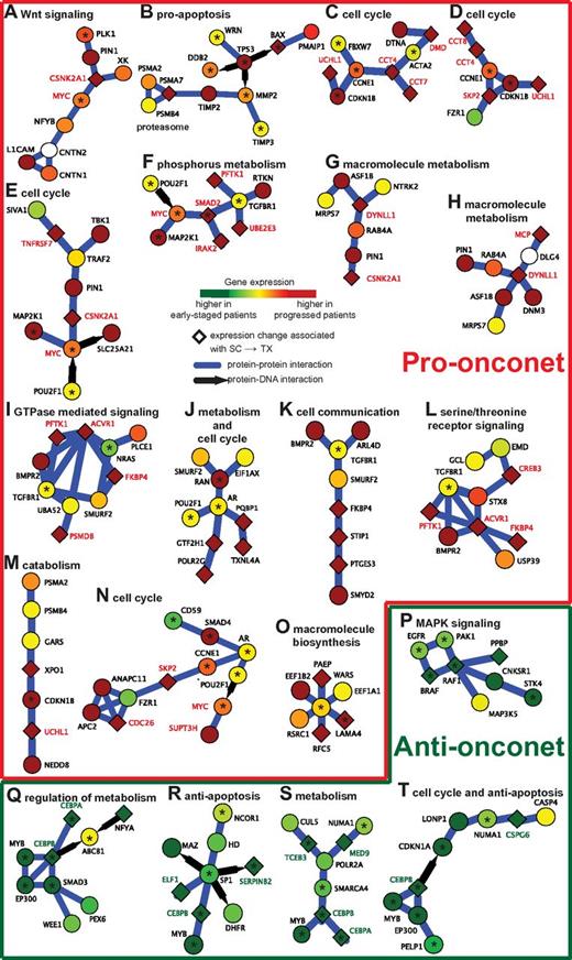 Figure 2. Example subnetworks of CLL disease progression enriched for the hallmarks of cancer. (A-O) Pro-onconets. (P-T) Anti-onconets. Nodes and links represent human proteins and protein physical interactions, respectively. Blue links indicate protein-protein interactions; black arrows indicate protein-DNA binding. The color of each node scales with the change in gene expression in patients of shorter treatment-free survival intervals versus longer: red represents up-regulation in patients of shorter intervals whereas green represents down-regulation. The predominant cellular functions are indicated next to each subnetwork. Known cancer susceptibility genes are highlighted by a black asterisk. Names of genes marked in red/green are further probed for serial expression in an additional patient cohort (red indicates genes expressed in pro-onconets and green indicates those expressed in anti-onconets).